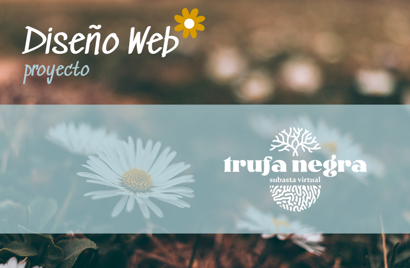 Diseño Web Subasta Virtual de Trufa Negra - Estudio AliA